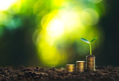 stack of coins sprouting